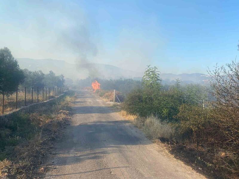 ÇANAKKALE’NİN AYVACIK İLÇESİNDE TARIM