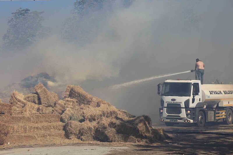 AYVALIK’TA ÇÖPLÜK ALANDA ÇIKAN