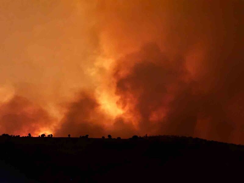 20 HAZİRAN GÜNÜ DİYARBAKIR