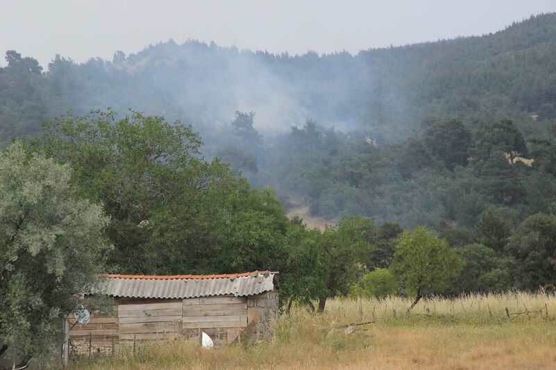 ÇANAKKALE’NİN BAYRAMİÇ İLÇESİNDE YILDIRIM