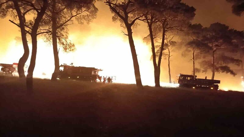 ÇANAKKALE'NİN BAYRAMİÇ İLÇESİNDE BAŞLAYAN