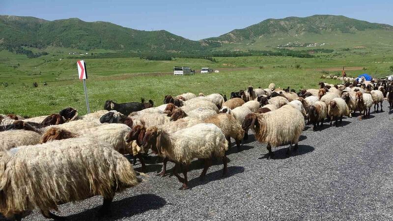 DOĞU VE GÜNEYDOĞU İLLERİNDEKİ