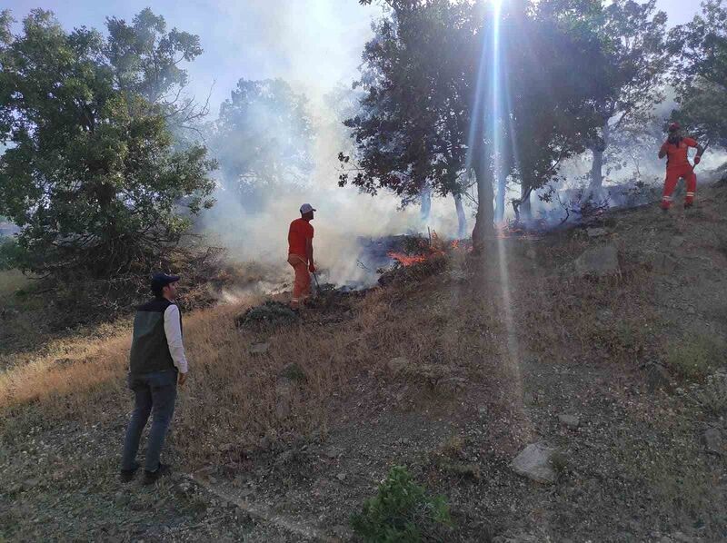 Bingöl’de iki ayrı bölgede çıkan yangınlar söndürüldü