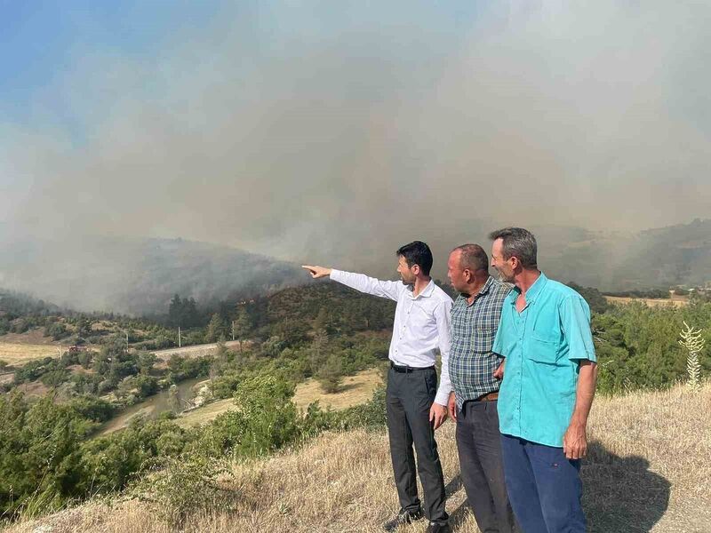 BURSA'NIN BÜYÜKORHAN İLÇESİNDE ORMANLIK