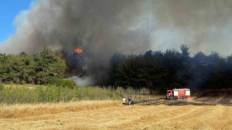 ÇANAKKALE'NİN ECEABAT İLÇESİNDE ORMANLIK