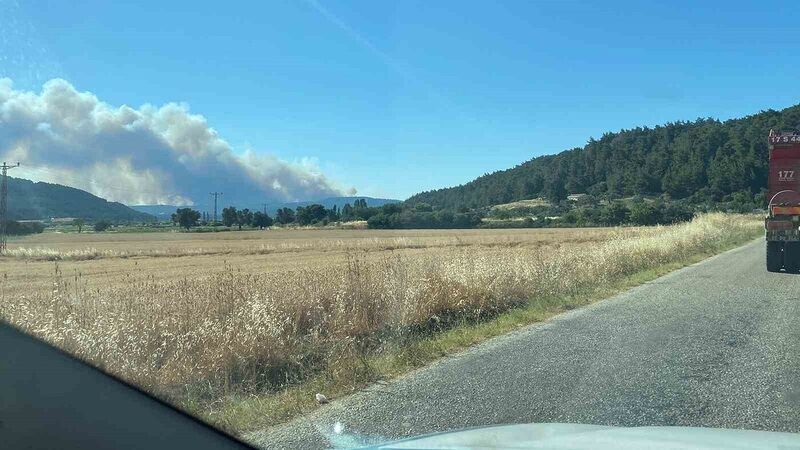 ÇANAKKALE'NİN ECEABAT İLÇESİNDE ORMANLIK