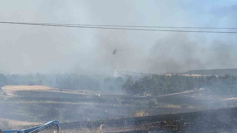 ÇANAKKALE’DE TARIM ARAZİSİNDE BAŞLAYAN