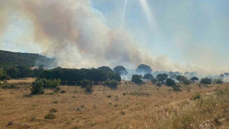 ÇANAKKALE'NİN EZİNE İLÇESİNDE ÇÖPLÜKTE