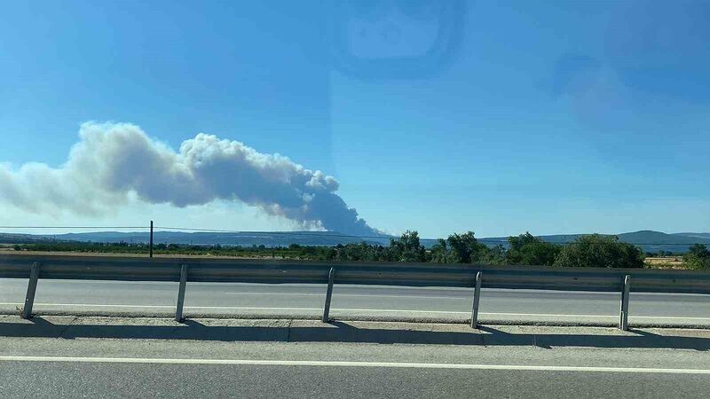 ÇANAKKALE'NİN ECEABAT İLÇESİNDE ORMANLIK