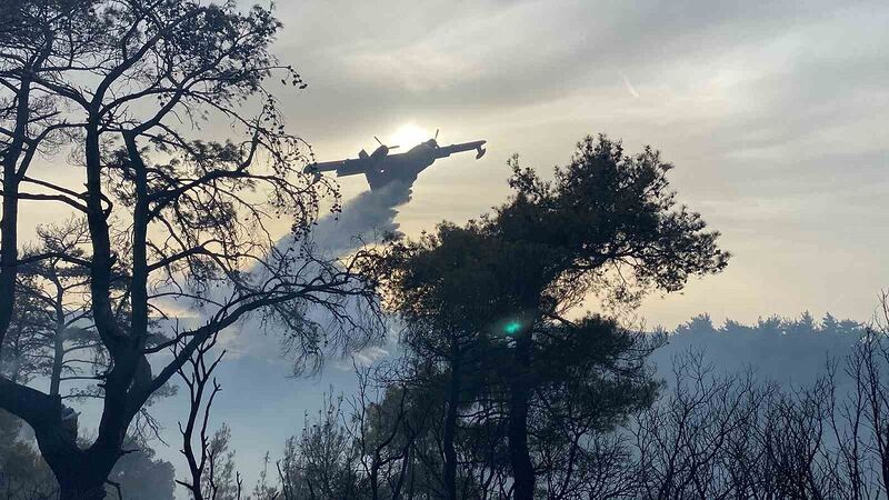 ÇANAKKALE'DE ÇIKAN ORMAN YANGINI