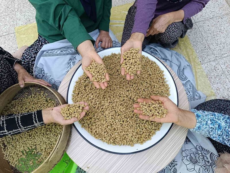 TUNCELİ'NİN ÇEMİŞGEZEK İLÇESİNE BAĞLI