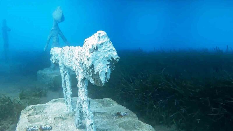 MUĞLA'NIN BODRUM İLÇESİNDE DENİZ