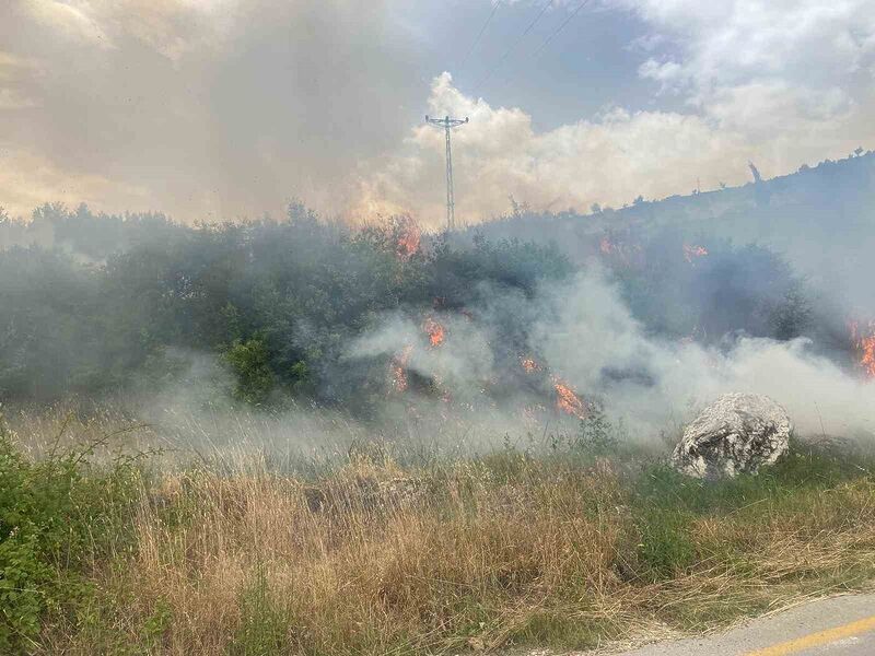 Denizli’de 1 günde 10 orman yangını çıktı