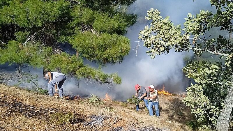 DENİZLİ’DE ORMANLIK ALANDA YANGIN