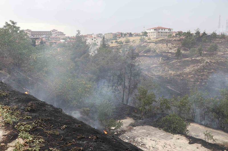 DENİZLİ’DE ORMAN YANGININ YERLEŞİM