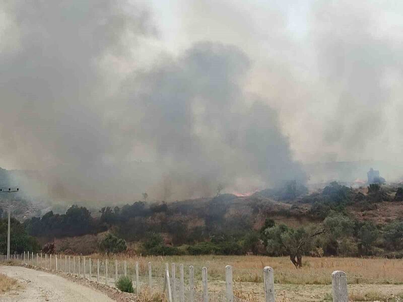 Didim’deki yangın kontrol altına alındı