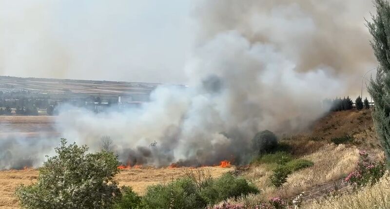 DİYARBAKIR’IN SUR İLÇESİNDE BUĞDAY