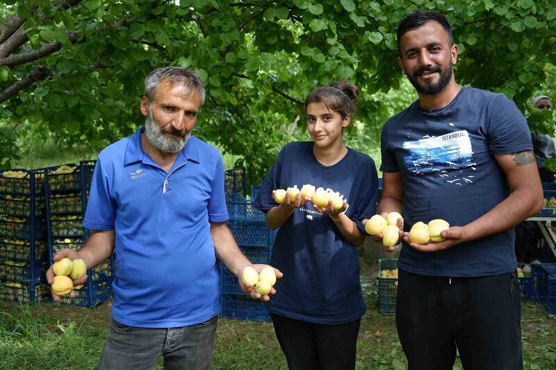 DOĞU ANADOLU'NUN İNCİSİ IĞDIR'DA