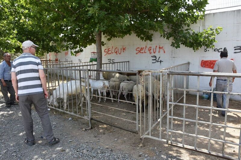 BALIKESİR’İN EDREMİT BELEDİYESİ KURBAN