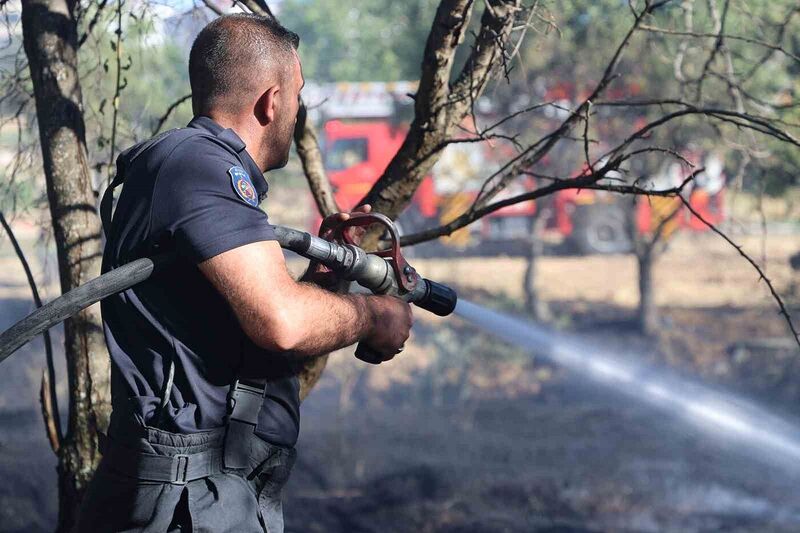 Elazığ’da örtü ve bahçe yangını