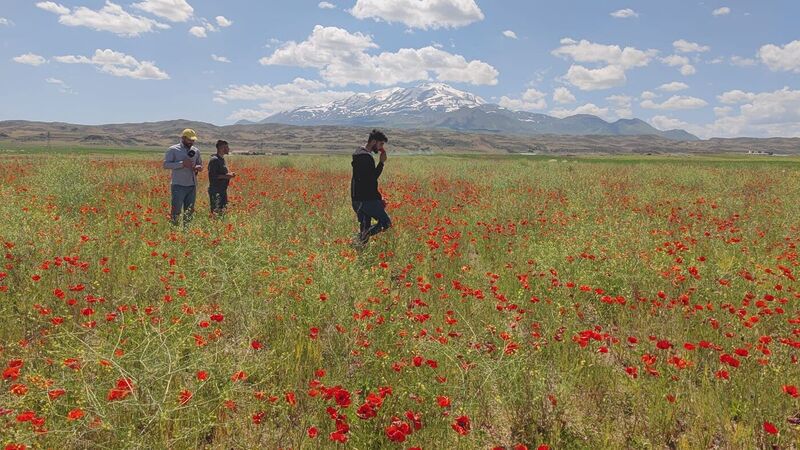 BİTLİS’İN ADİLCEVAZ İLÇESİNDE TARLALARI