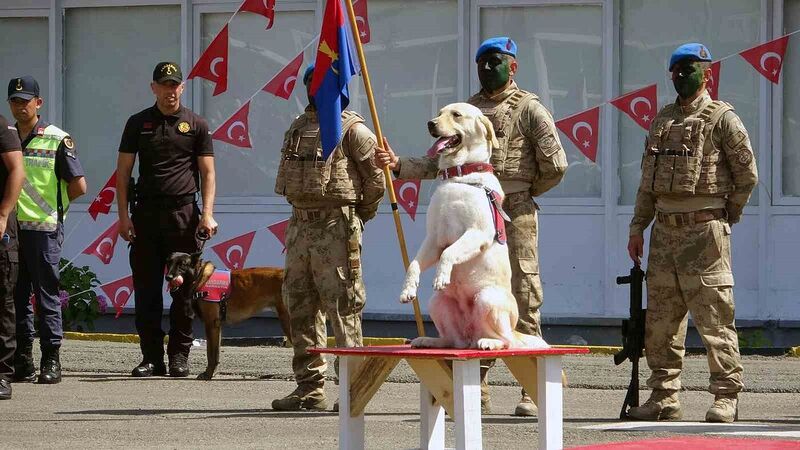 JANDARMA TEŞKİLATI’NIN KURULUŞUNUN 185.