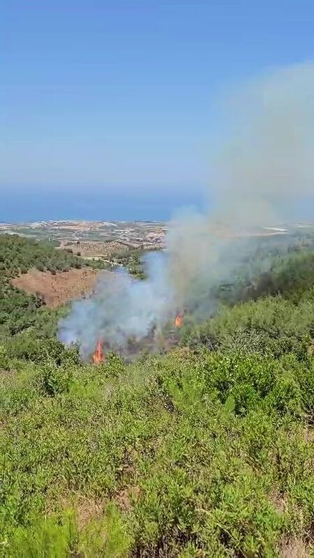 HATAY ARSUZ’DA ÇIKAN YANGINA