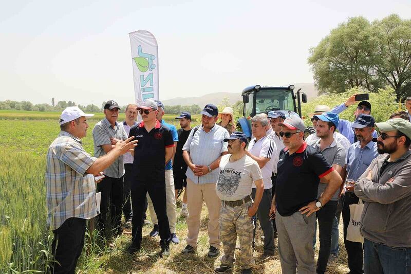 İnönü ilçesindeki Tarla Günü’nde 12 buğday çeşidi tanıtıldı