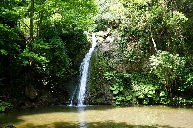 KOCAELİ'NİN DERİNCE İLÇESİNDE BULUNAN