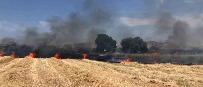 İzmir’de ekin tarlasında yangın: 30 dekar alan kül oldu