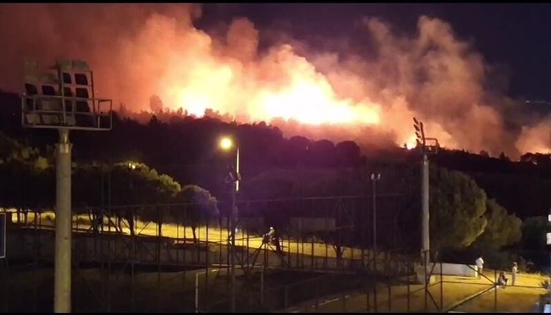 İzmir’deki orman yangını kontrol altında