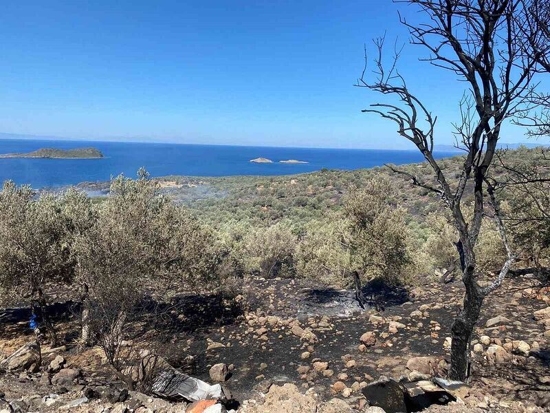 İzmir’deki orman yangını kontrol altında