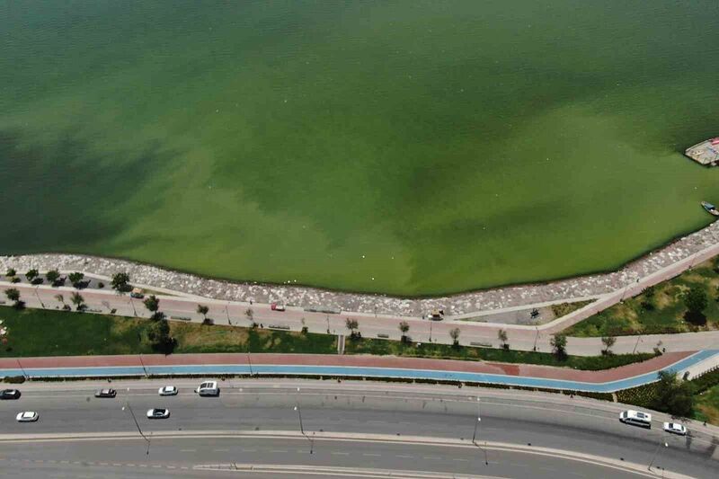 İzmir’in iki ilçesinde denizin rengi değişti, kötü koku yayıldı