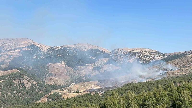 KAHRAMANMARAŞ’TA ORMANLIK ALANDA YANGIN