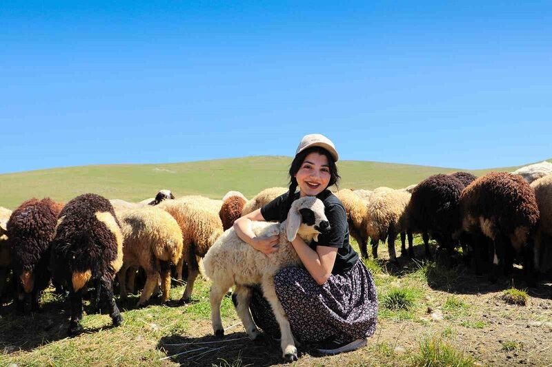 Kahvaltı sofralarına 3 bin rakımdan gelen lezzet: Erzincan tulum peyniri