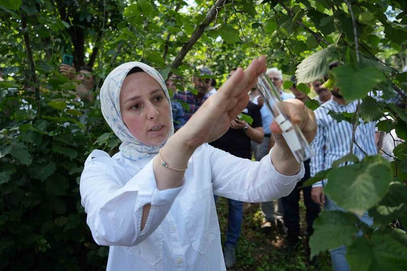 İSTİLACI BİR TÜR OLAN