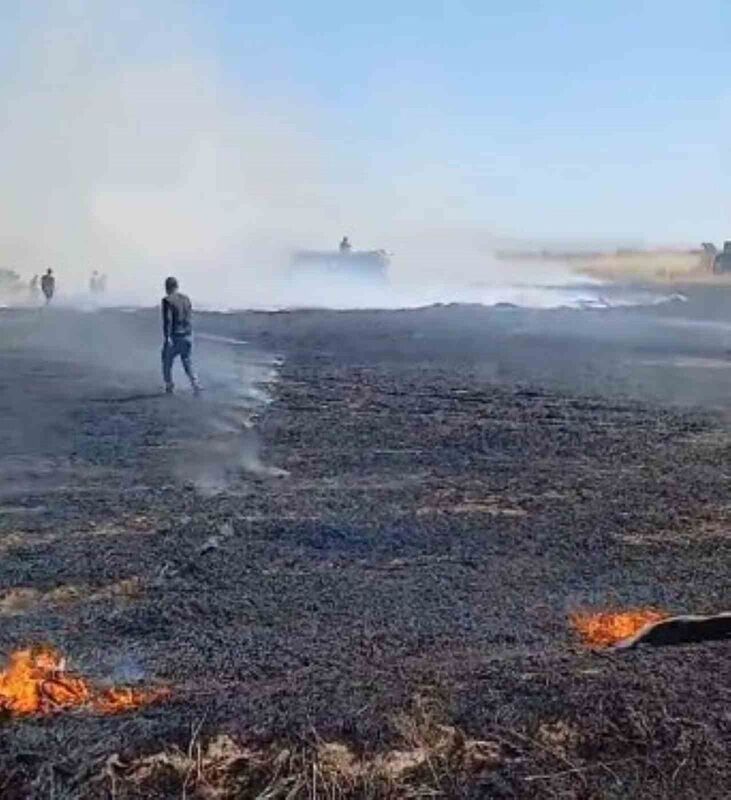 KONYA’NIN KARAPINAR İLÇESİNDE BUĞDAY