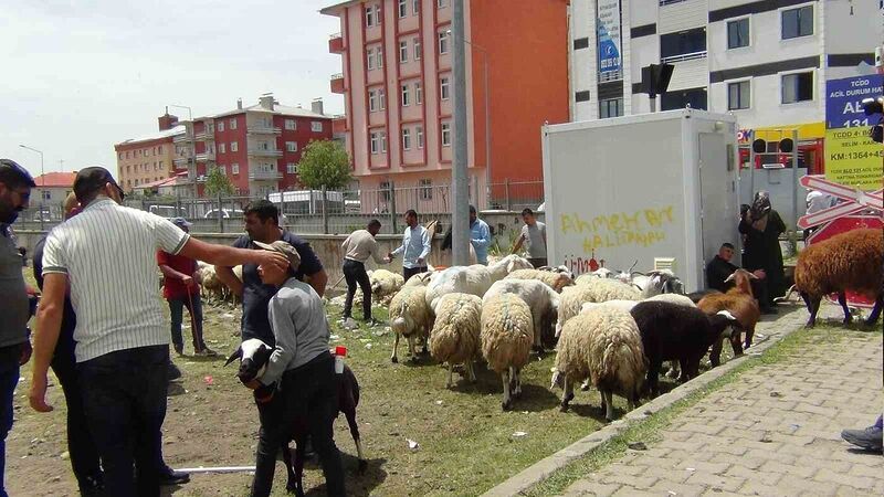 Kars’ta hayvan pazarında yoğunluk