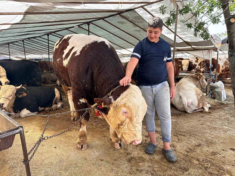 KARTAL’DA KURBAN PAZARININ ŞAMPİYONU