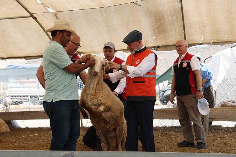 Kayseri’de tek, Türkiye’ye ise örnek olan profesyonel kurban hizmeti bayrama hazır