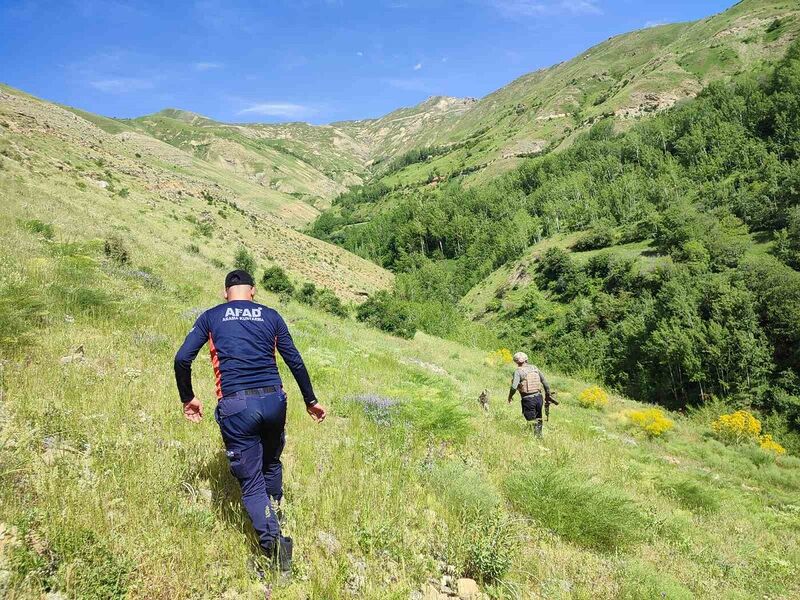 VAN'IN BAHÇESARAY İLÇESİNDE İNEKLERİ