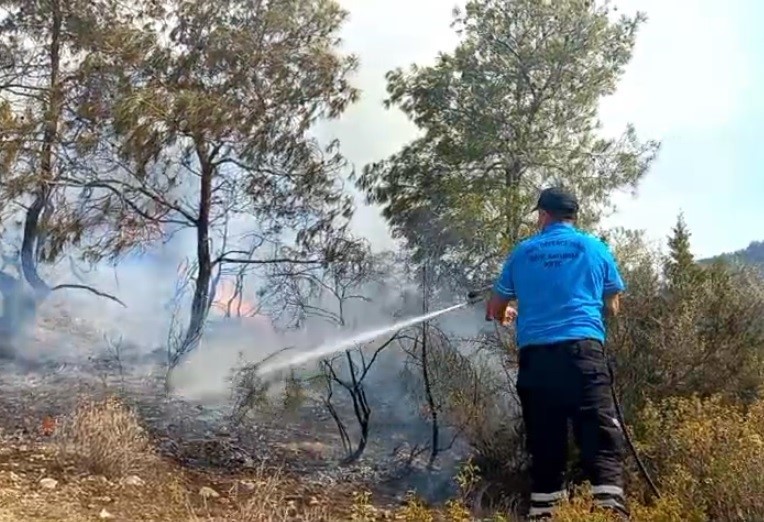 KKTC’DE ORMAN YANGINI