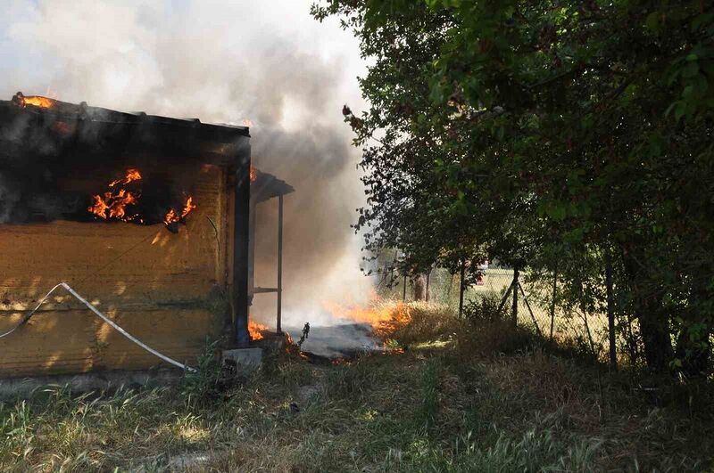 BOLU’DA TAVUK KÜMESİNDE ÇIKAN