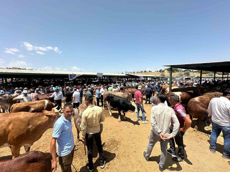 DEPREM BÖLGESİ MALATYA'DA KURBAN