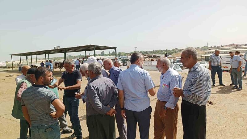 DEPREM BÖLGESİ MALATYA’DA KURBAN