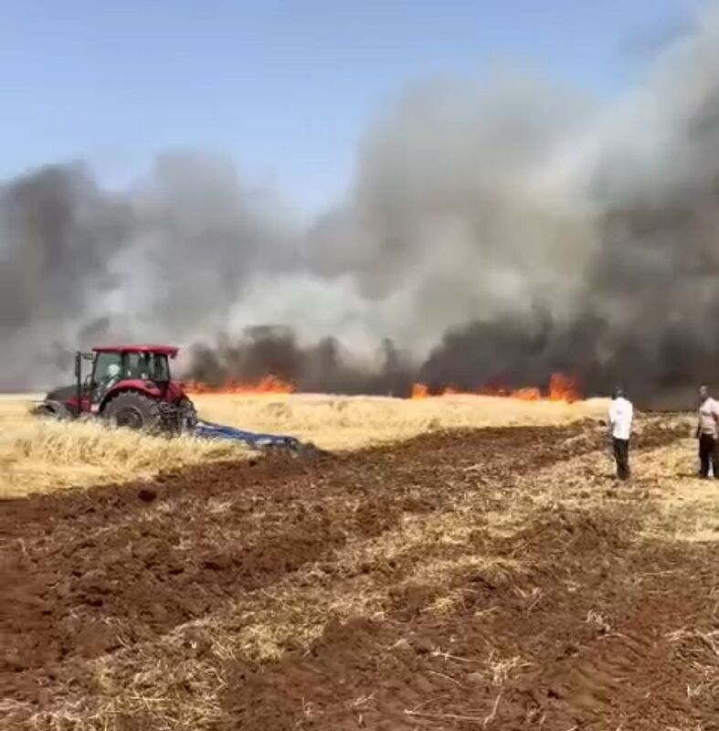 Mardin’de ekili arazide yangın, müdahale çalışmaları sürüyor