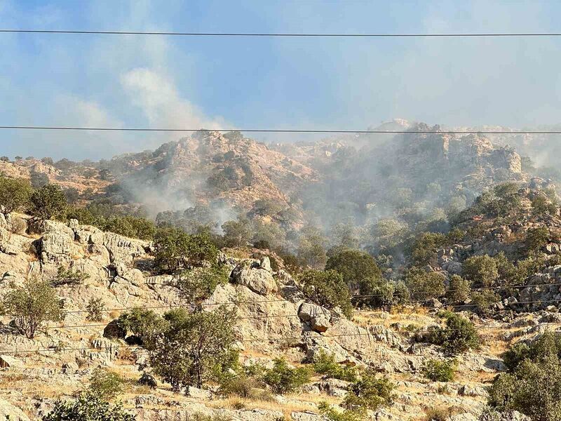 Mardin’de ormanlık alanda çıkan yangına müdahale devam ediyor