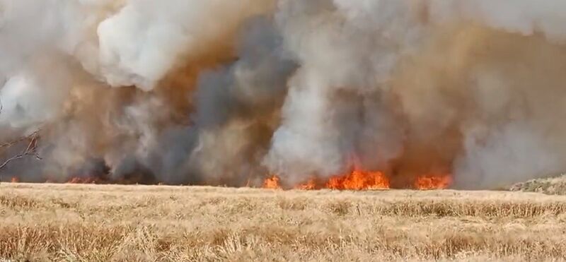 MARDİN'İN KIZILTEPE VE DERİK