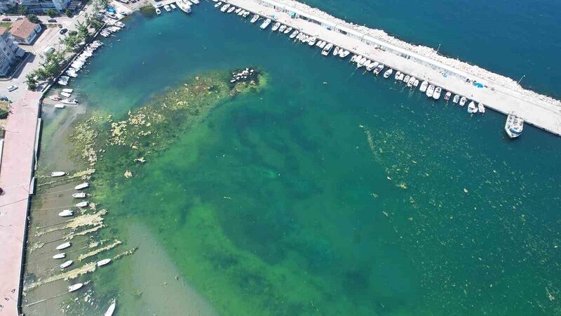 “Marmara’nın İncisi” Çınarcık’ta denizin içler acısı hali