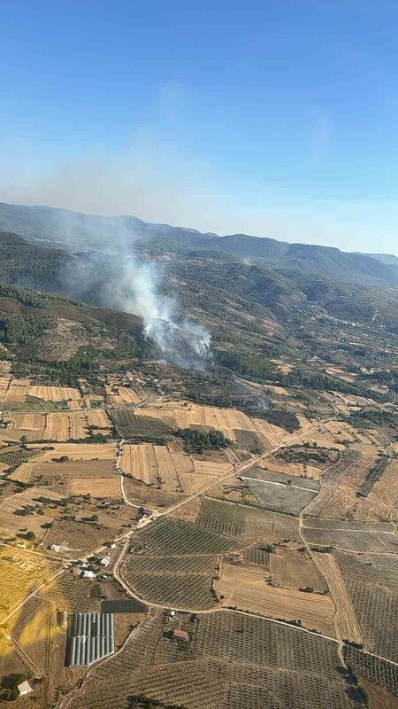 Milas’taki orman yangını kontrol altına alındı